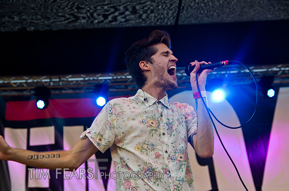 Royal Teeth
