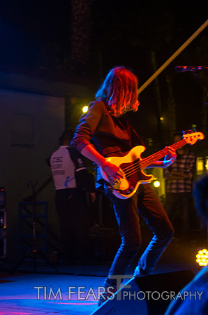 Cage The Elephant