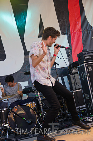Royal Teeth