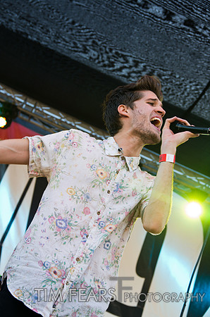 Royal Teeth