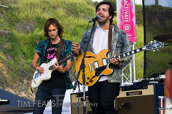 The Colourist