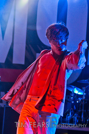 Cage The Elephant
